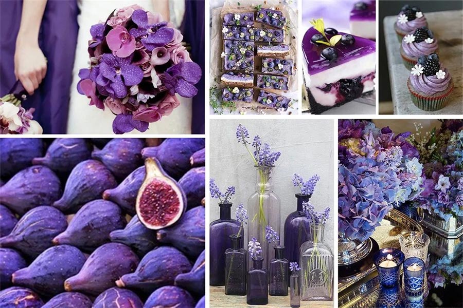 黑加仑紫—包头海天装饰